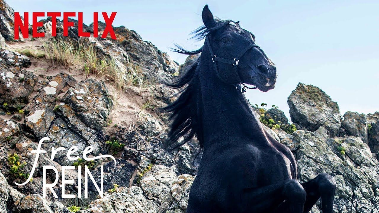 Free Rein Netflix Wallpapers - Wallpaper Cave