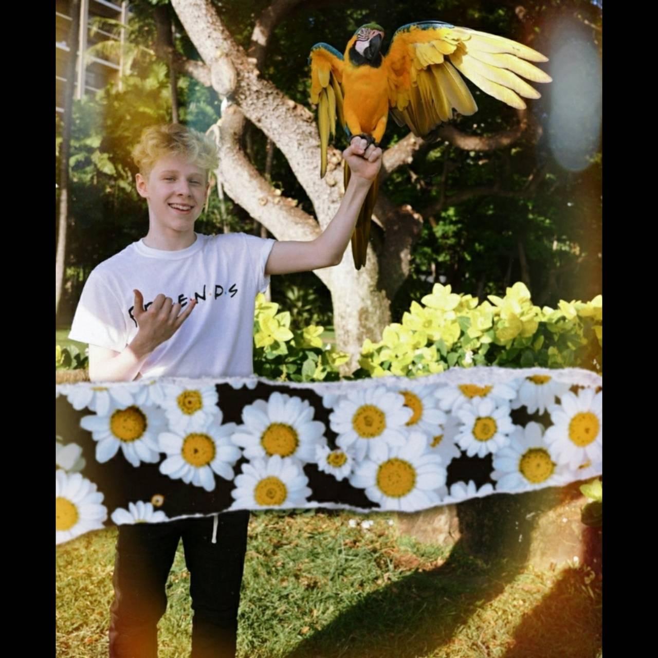 Lev Cameron Khmelev wallpaper