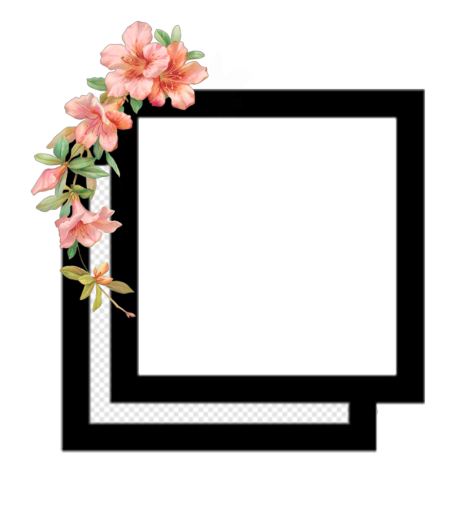 Image Photography Desktop Wallpaper Video Frame Aesthetic