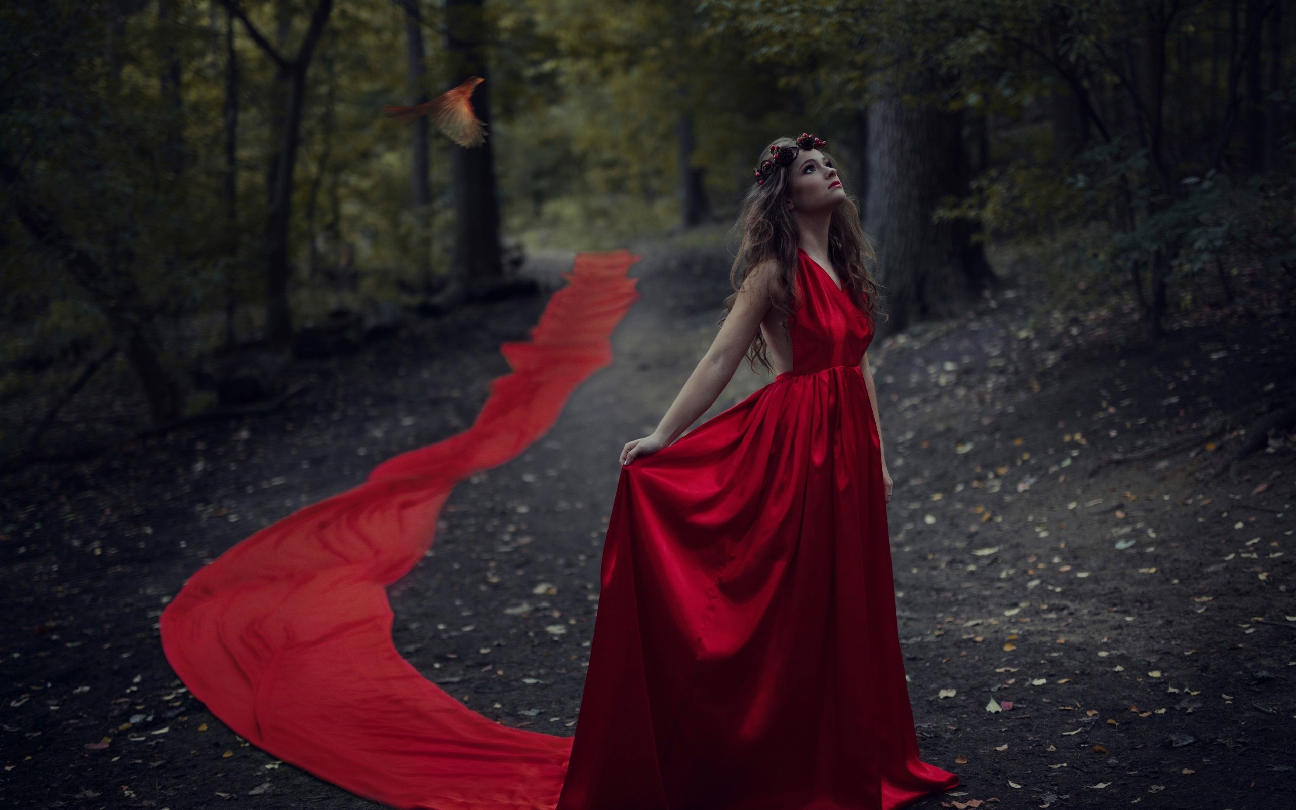 Free download Wallpaper Red dress girl in the forest bird dusk