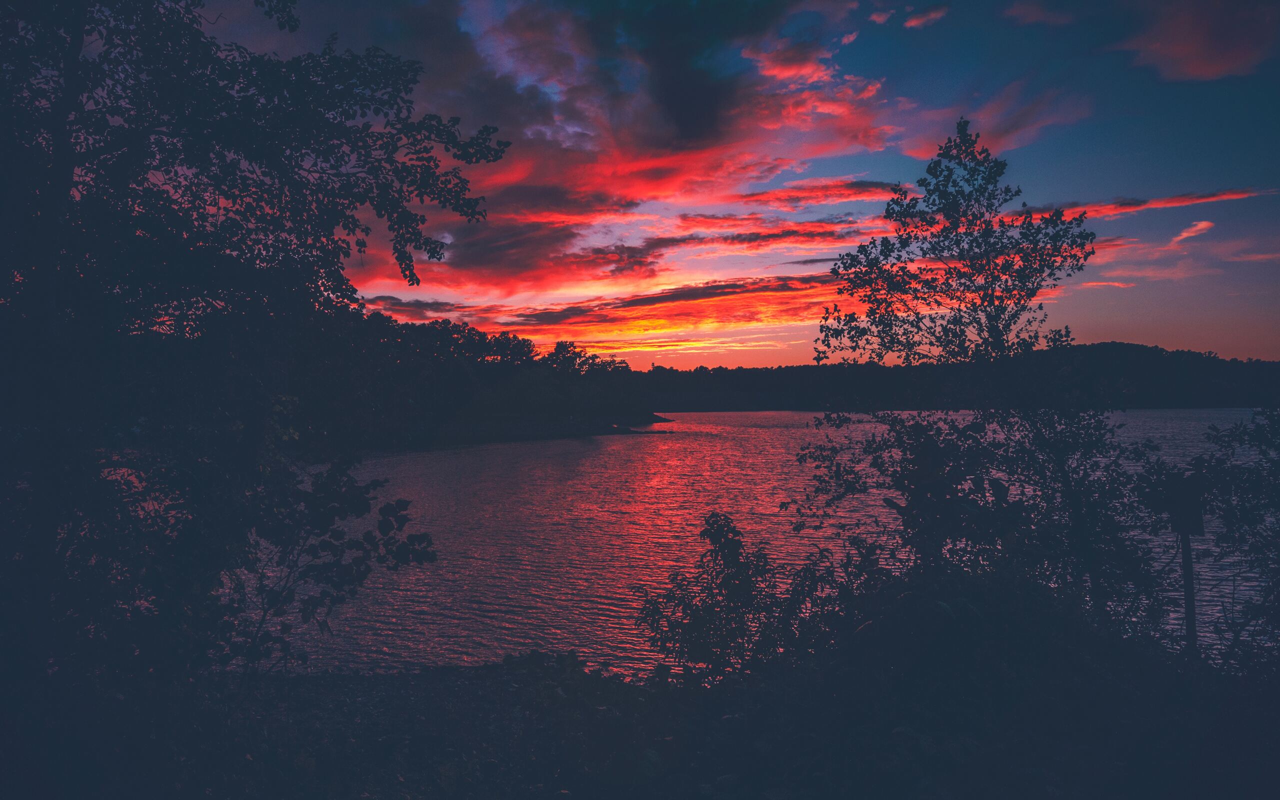 Red Evening Sunset Lake View From Forest Woods 2560x1600