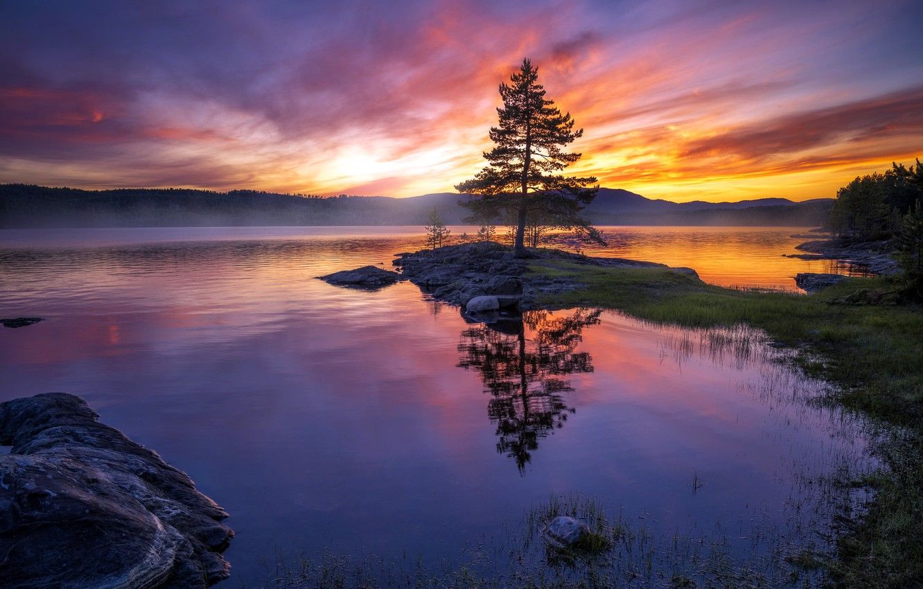 Wallpaper sunset, lake, tree image for desktop, section пейзажи