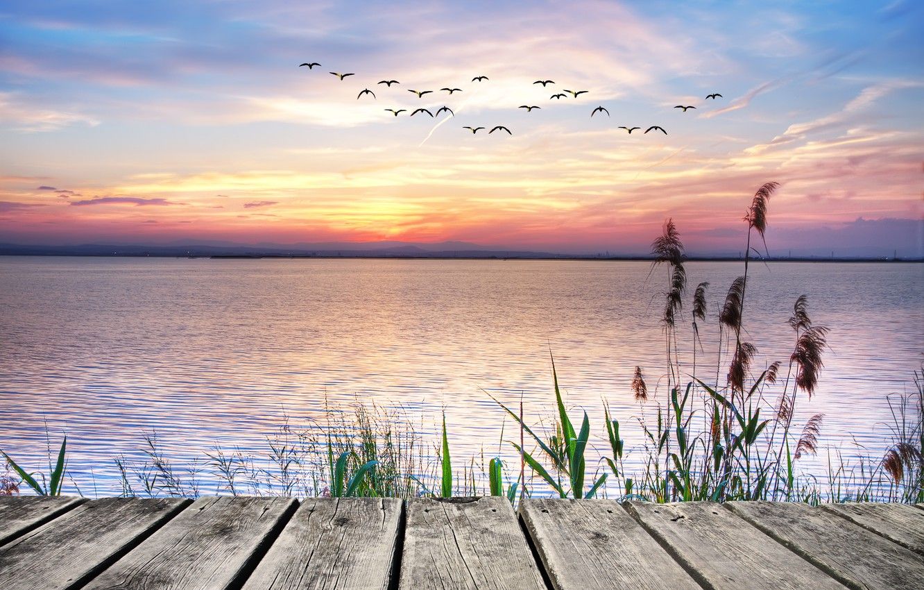 Wallpaper sunset, lake, seagulls, landscape, sunset, lake image