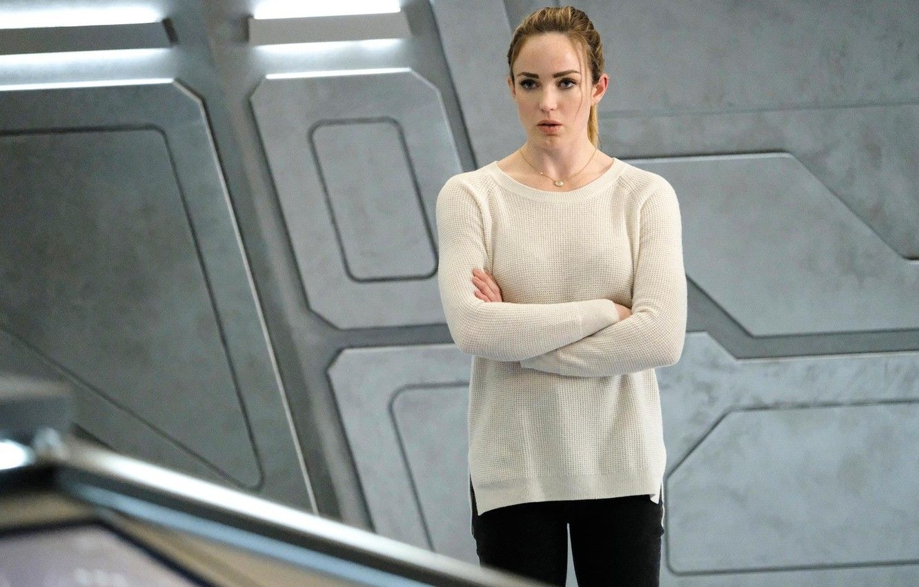 White Canary Wallpapers Wallpaper Cave