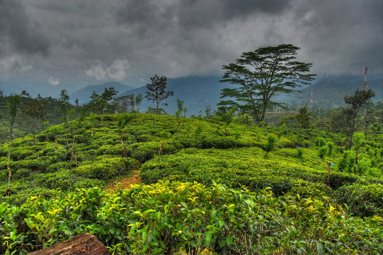 Desktop Wallpaper Sri Lanka Nature Sky Tropics landscape