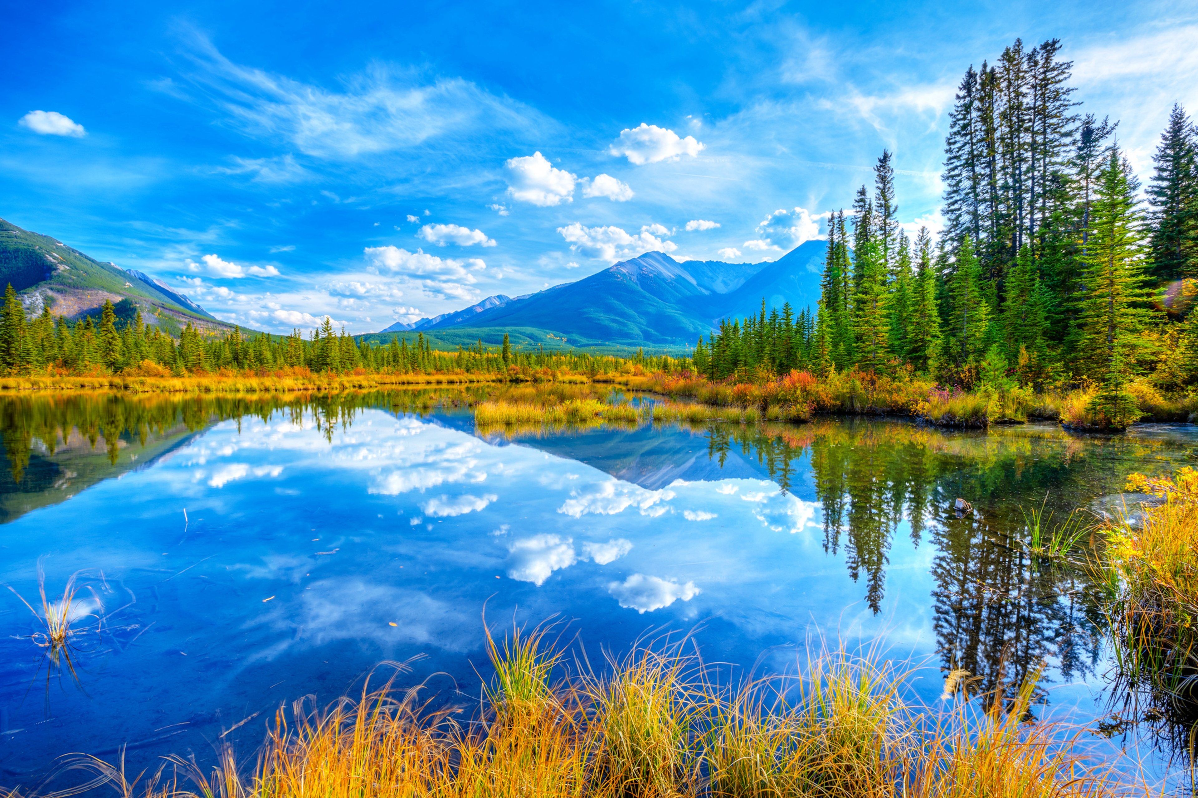 Красивые картинки природы хорошего качества. Национальный парк Йохо Канада. Прекрасная природа озеро, река. Лейк Ривер Канада.