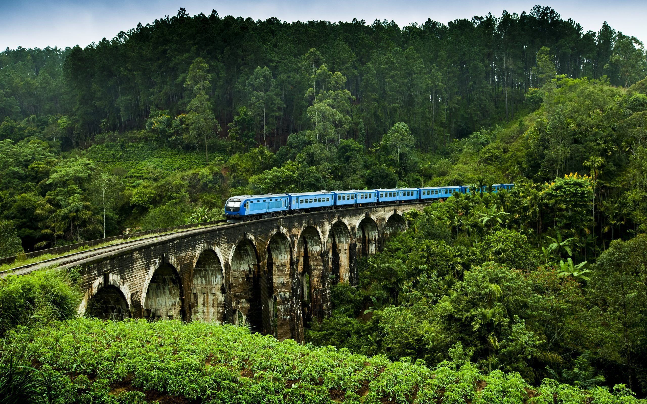 Sri Lanka