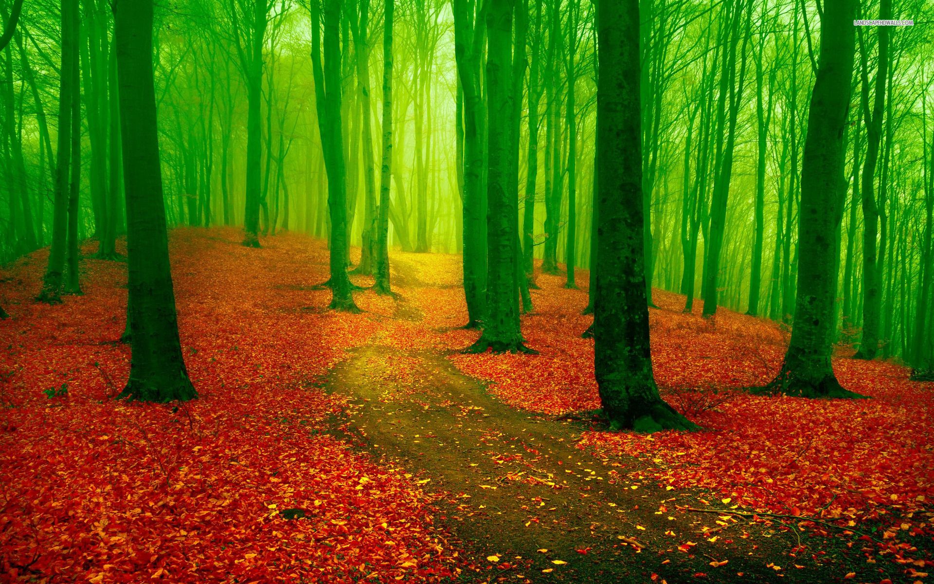 Красные и зеленые посмотрите. Зеленая природа. Зеленый лес. Красная природа. Красно зеленый пейзаж.