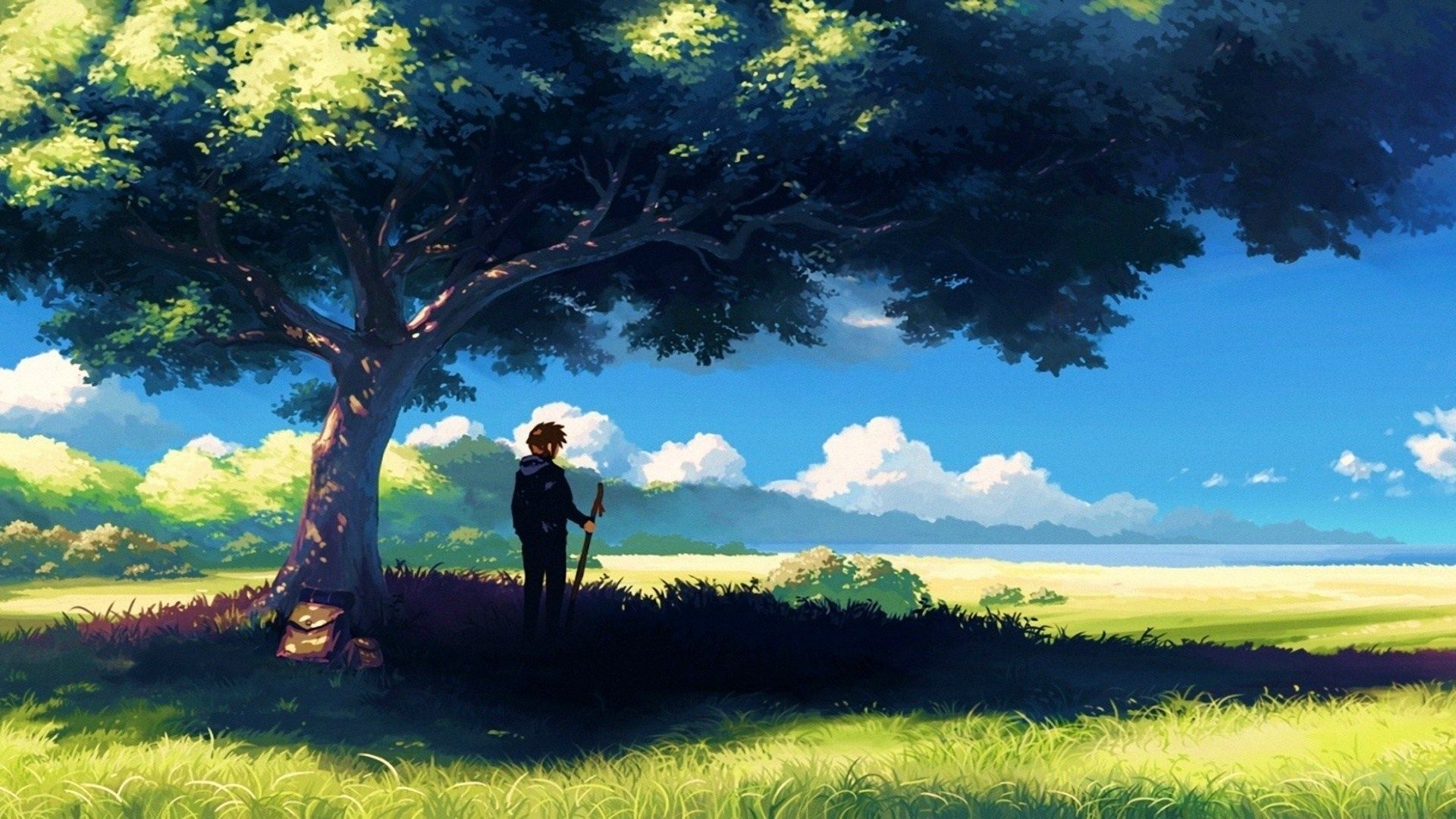 1920x1080 Anime Scenery Boy Under Tree Anime Scenery Wallpaper