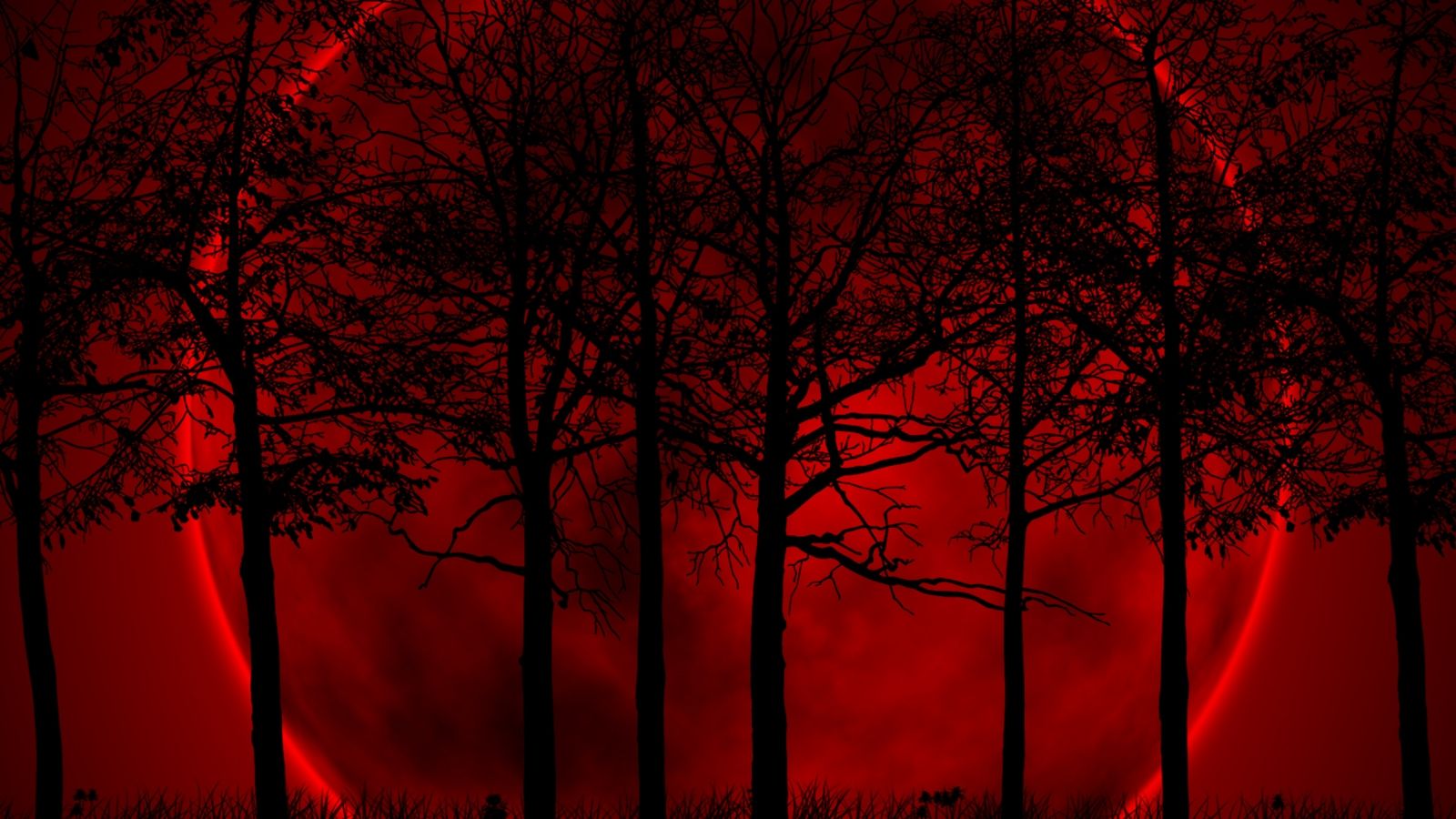 Free download Wallpaper 34 Moon forest Red and Black Wallpaper