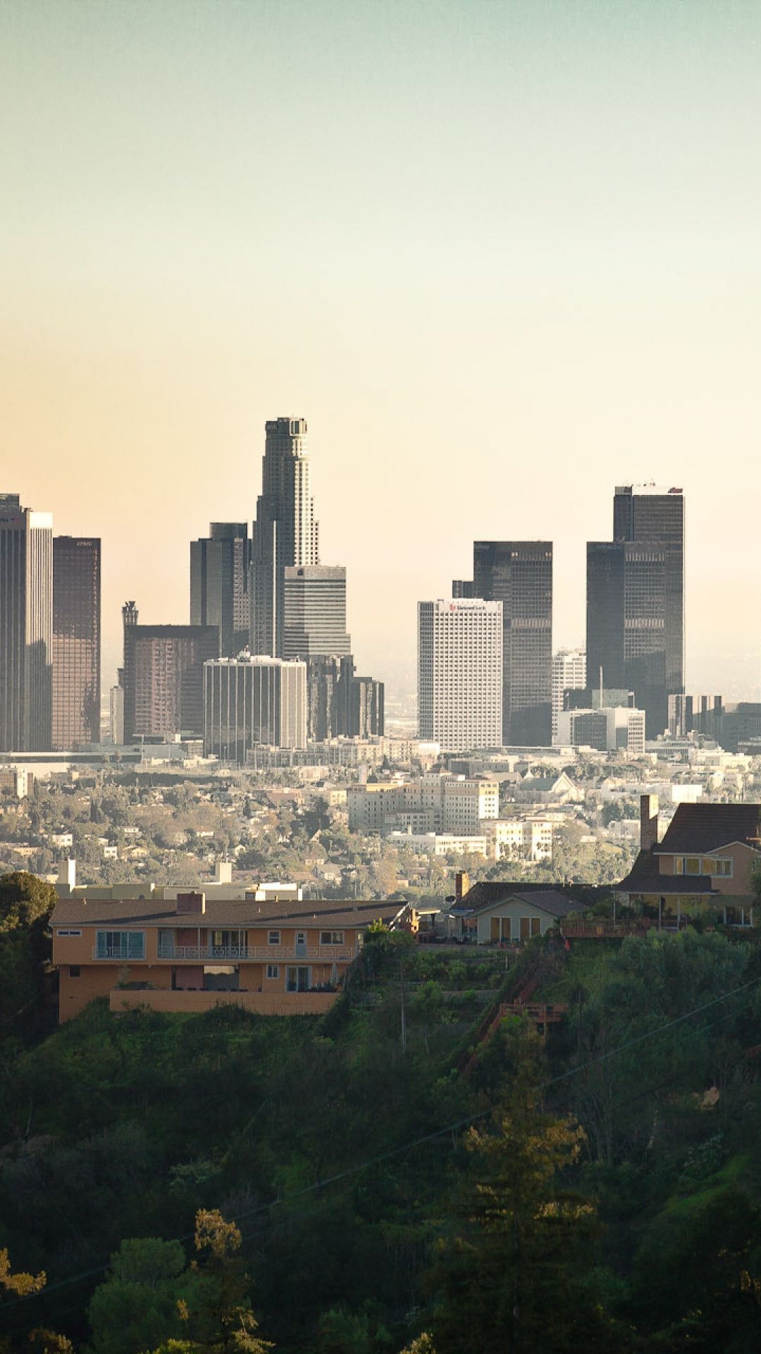 Los Angeles black city cubs dark los angeles modern night world HD  phone wallpaper  Peakpx