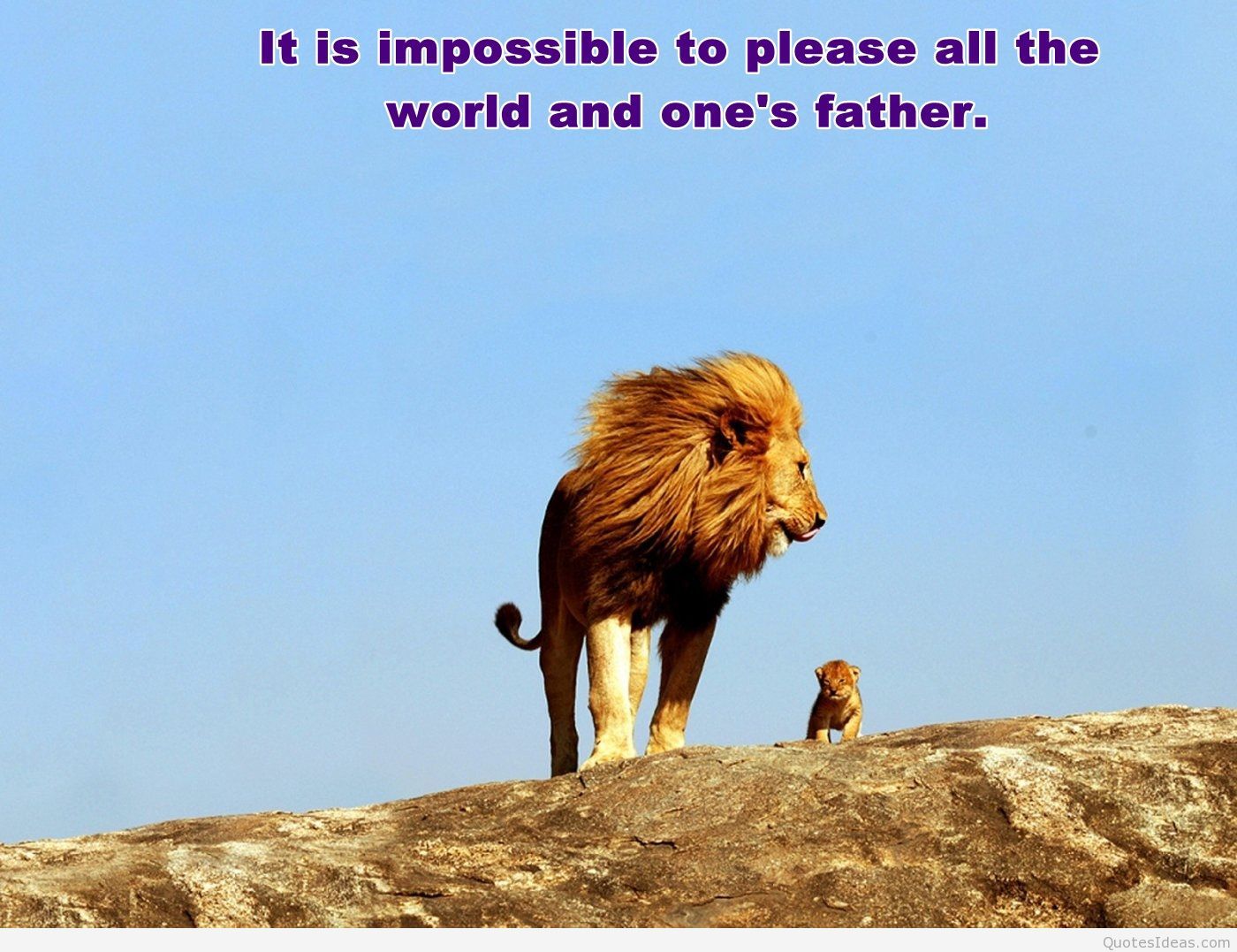 Awesome dad quote with lion wallpaper hd
