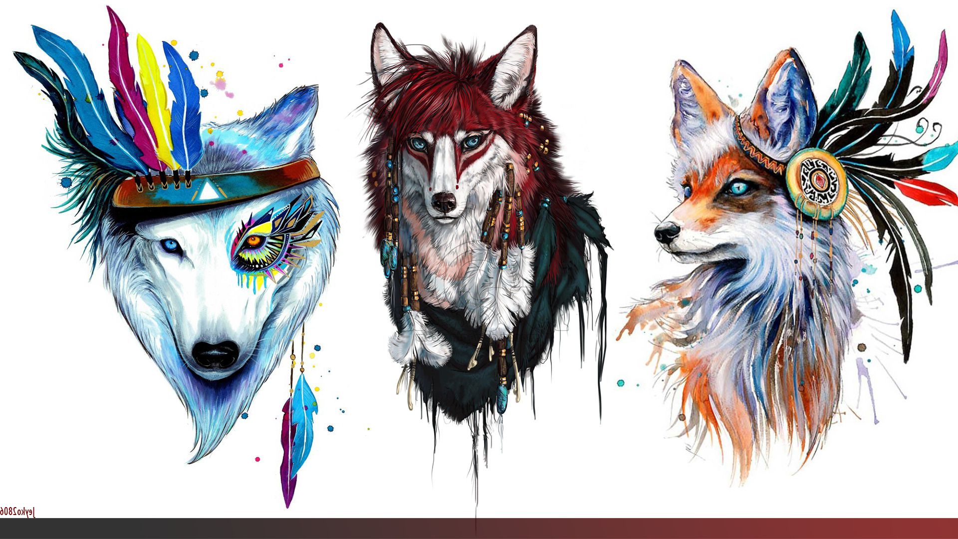 Wolf Collage Animals Furry Wallpaper And Background Dream