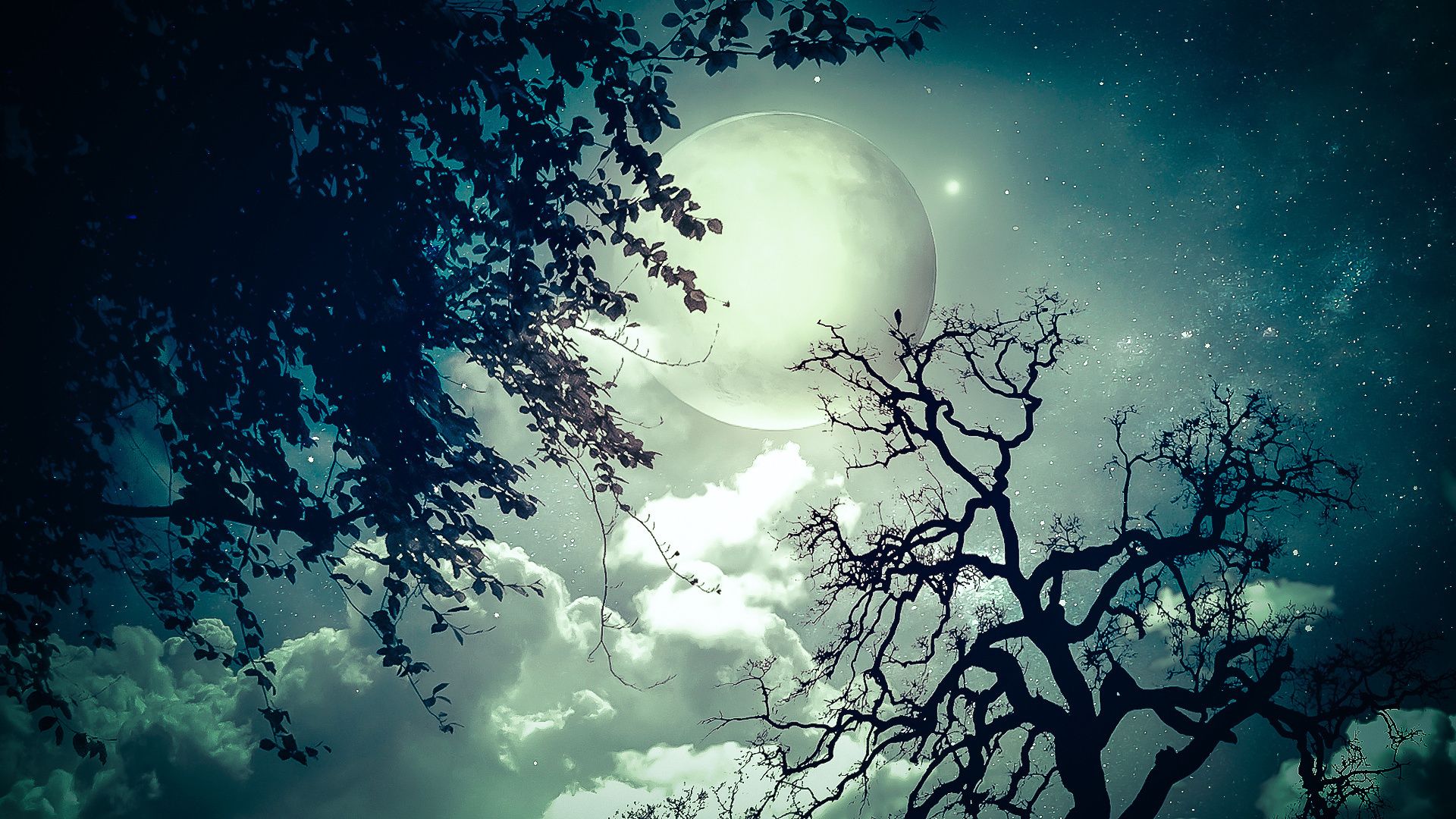 moon, Trees, Clouds, Dream, Stars Wallpaper HD / Desktop