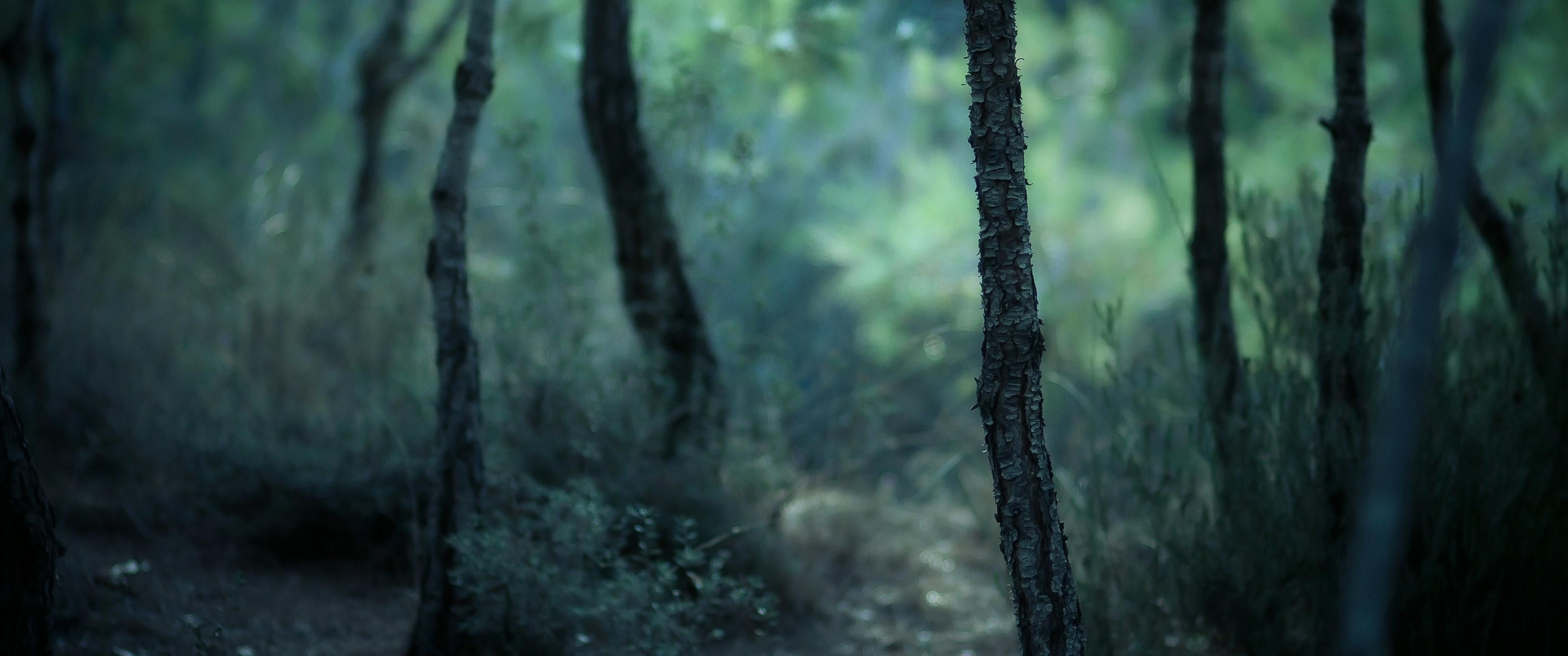 ultra wide wallpaper image HD Wallpaper Buzz