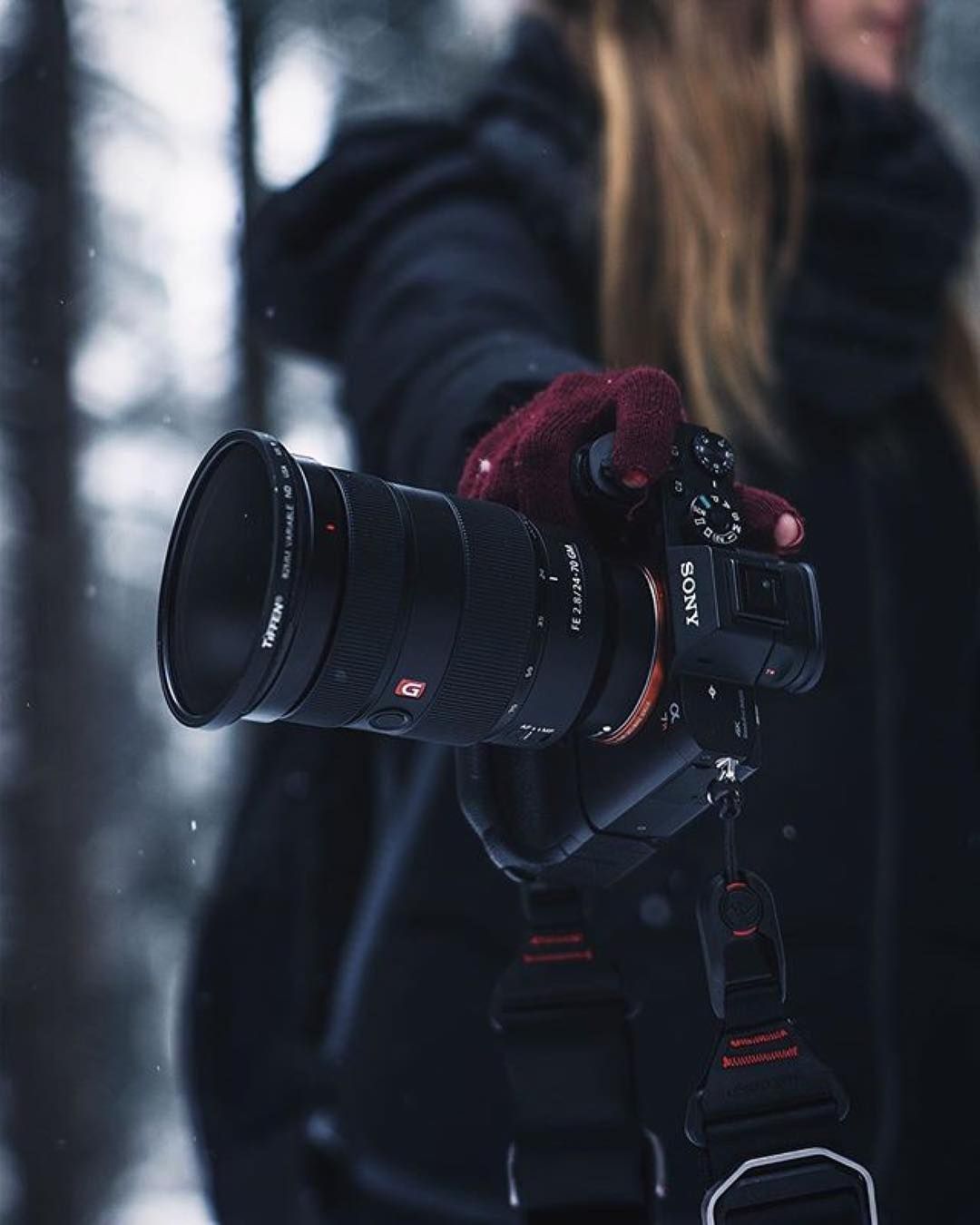 What Are You Shooting Today? Sony A7RII 24 70mm