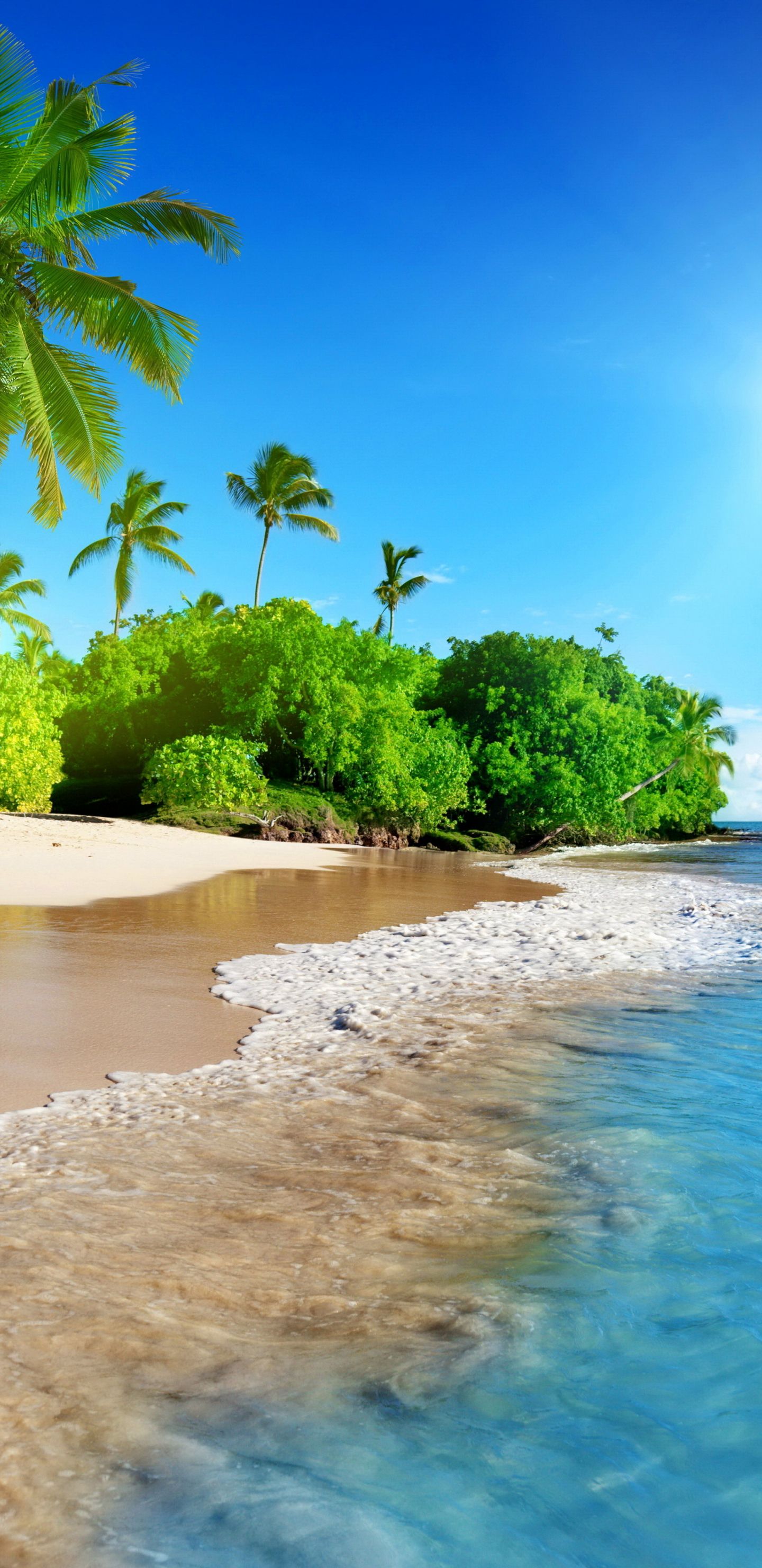 Download 1440x2960 wallpaper tropical beach, sea, calm, sunny day