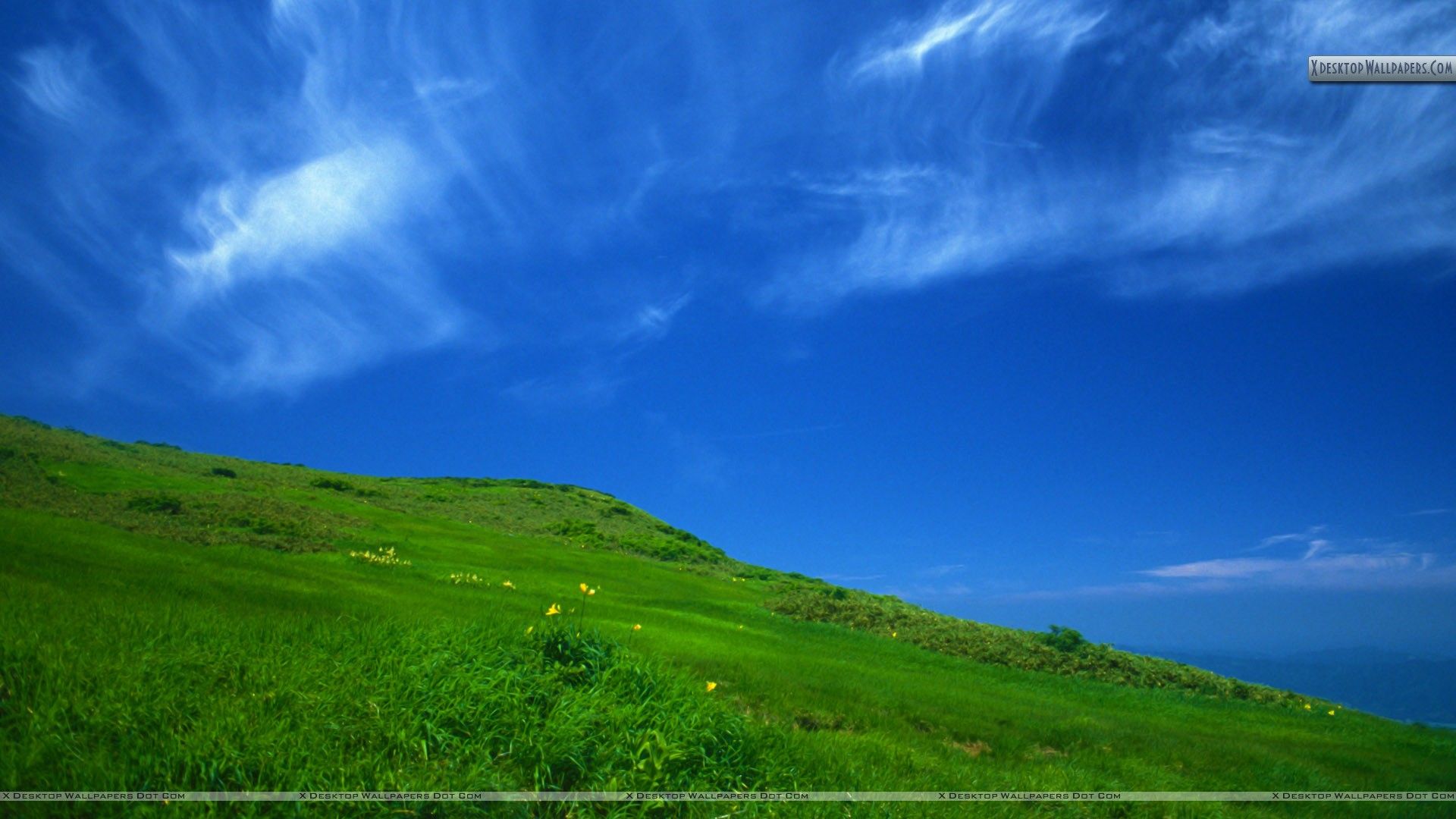 Clear Day Background. Holiday Wallpaper