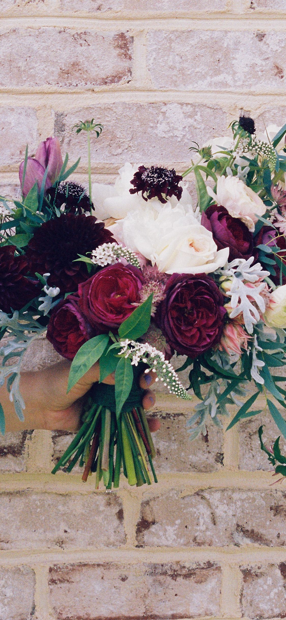 Decorating Regarding Peonies iPhone X Wallpaper