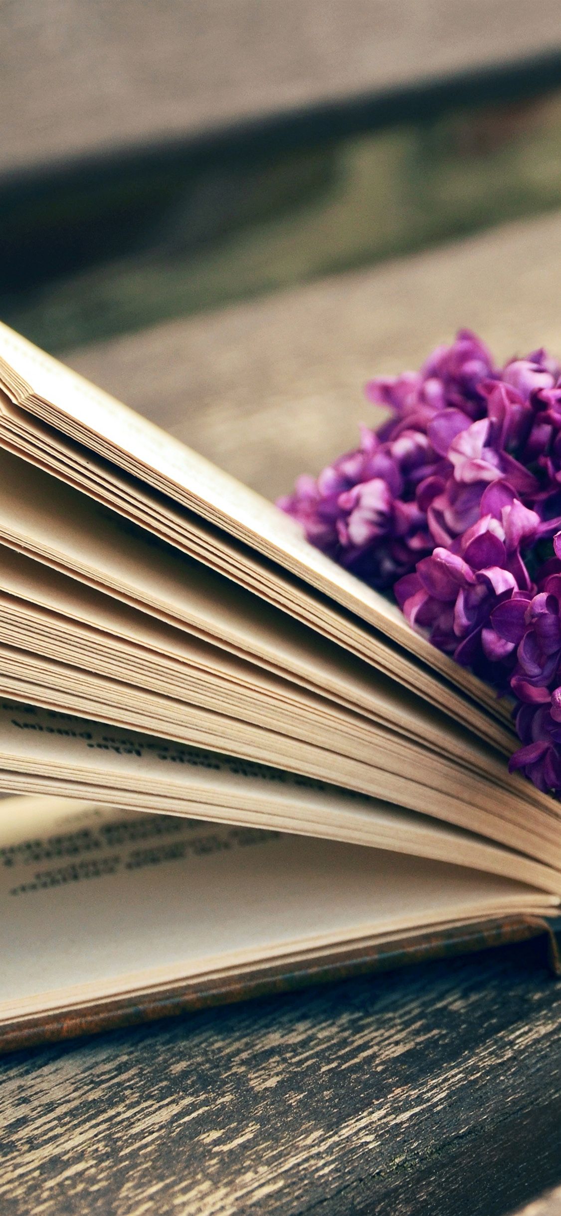 iPhone X wallpaper. book read time