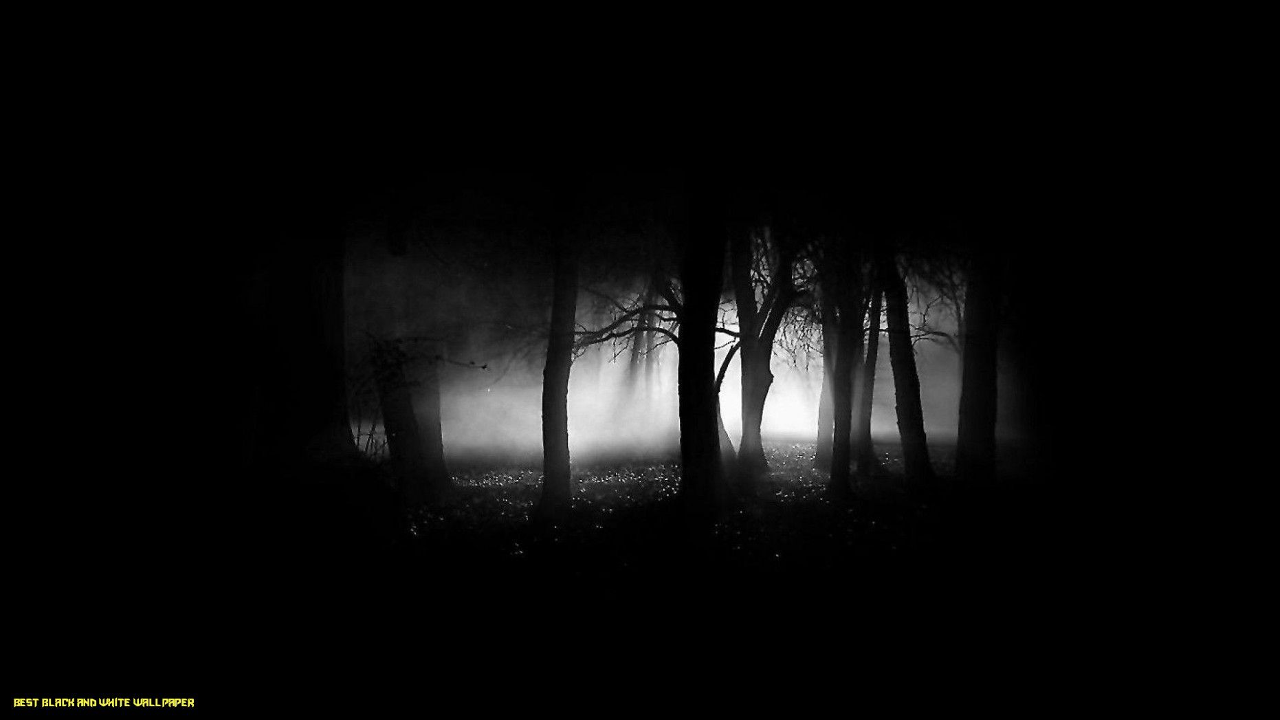 Black Wallpaper black and white wallpaper