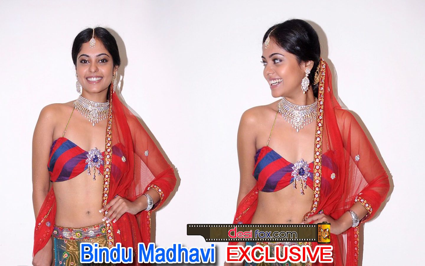 usa pix hd: Free Wallpaper Stock: 7g Rainbow Colony Wallpaper