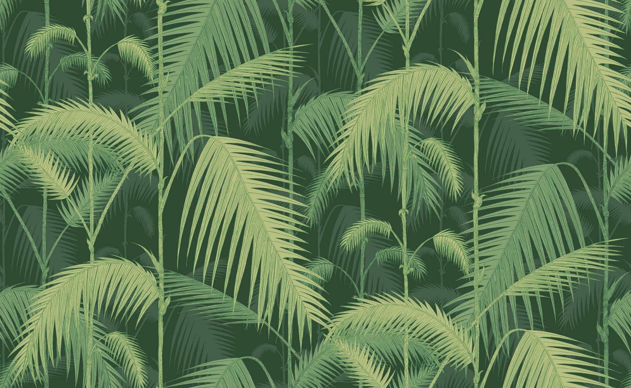Jungle Wallpaper Free Jungle Background