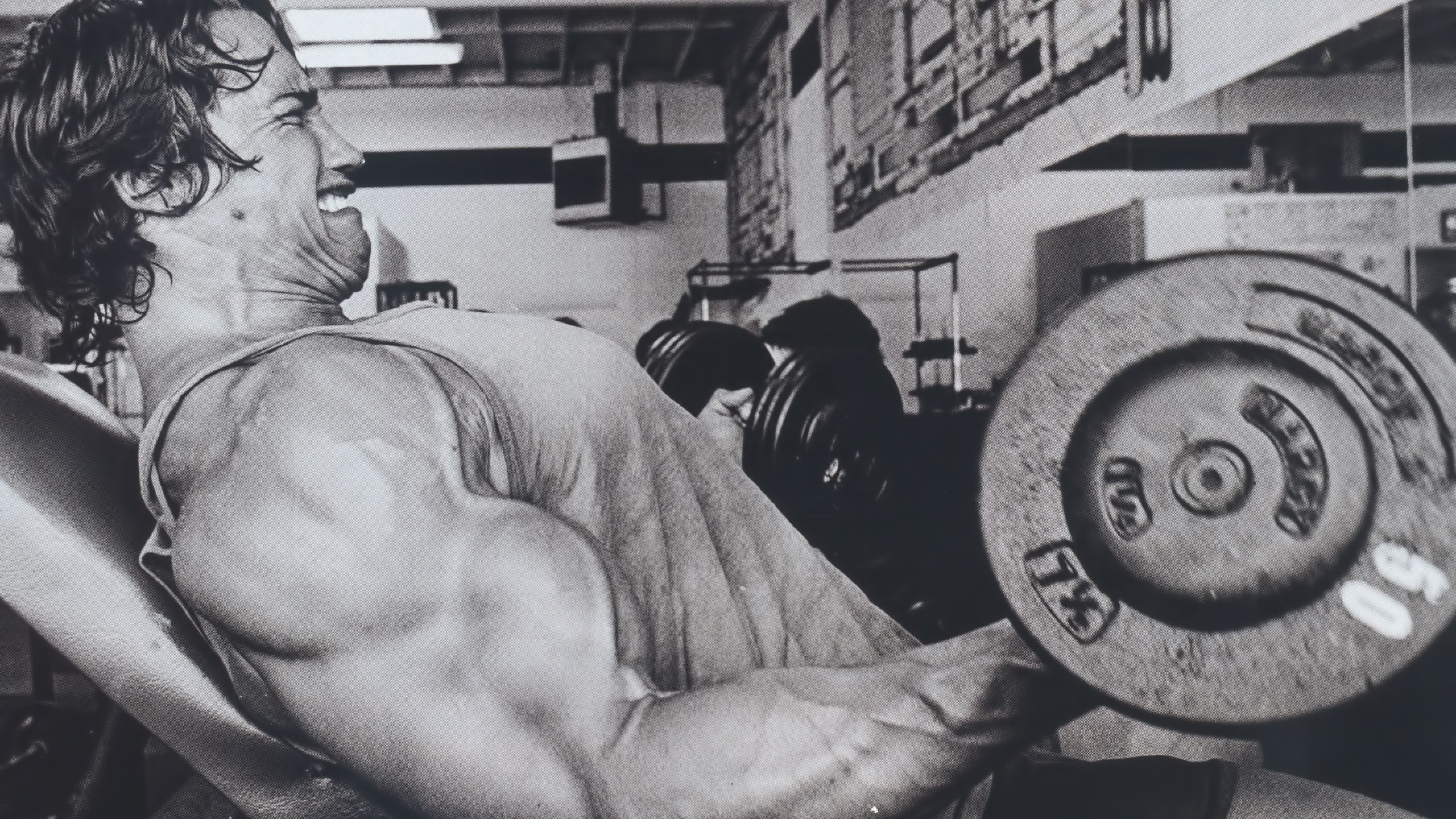 Arnold Schwarzenegger Bodybuilding Pics 8K Wallpaper, HD