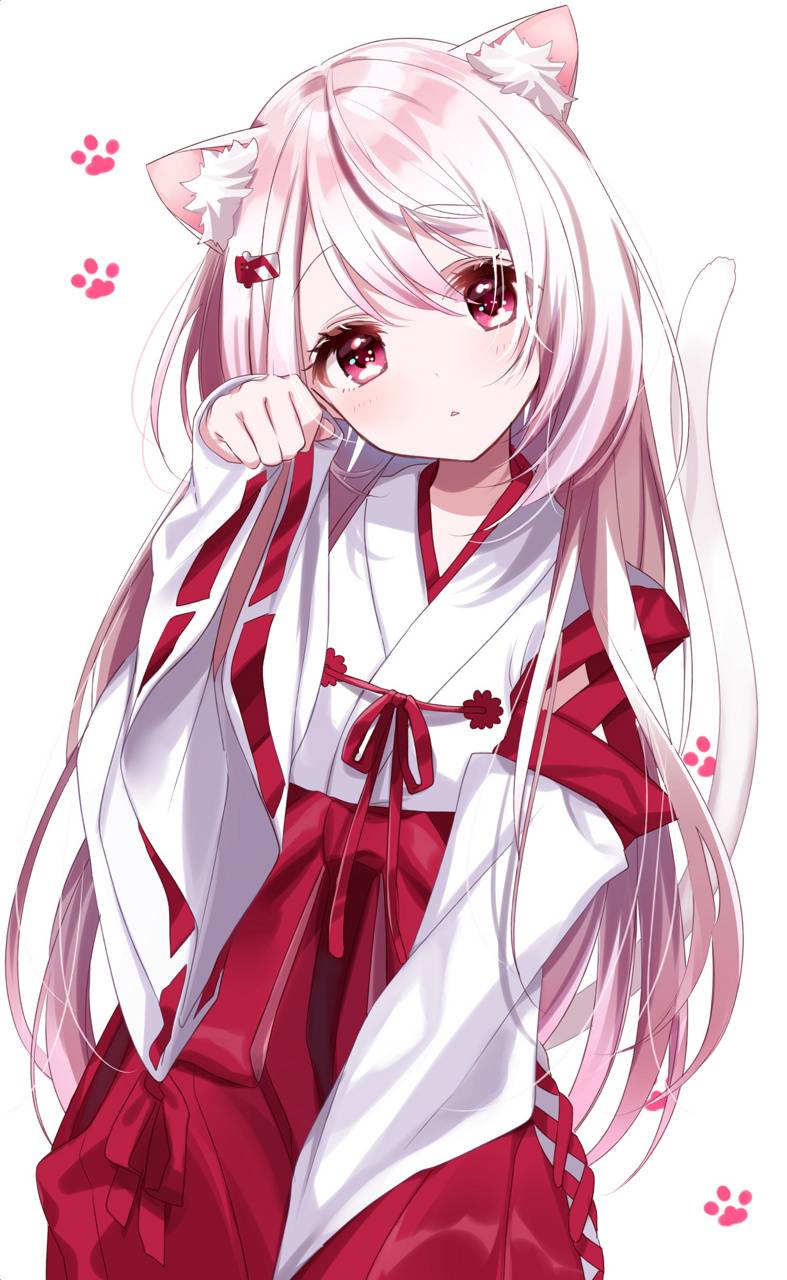 Anime Cat Girl Wallpapers Wallpaper Cave