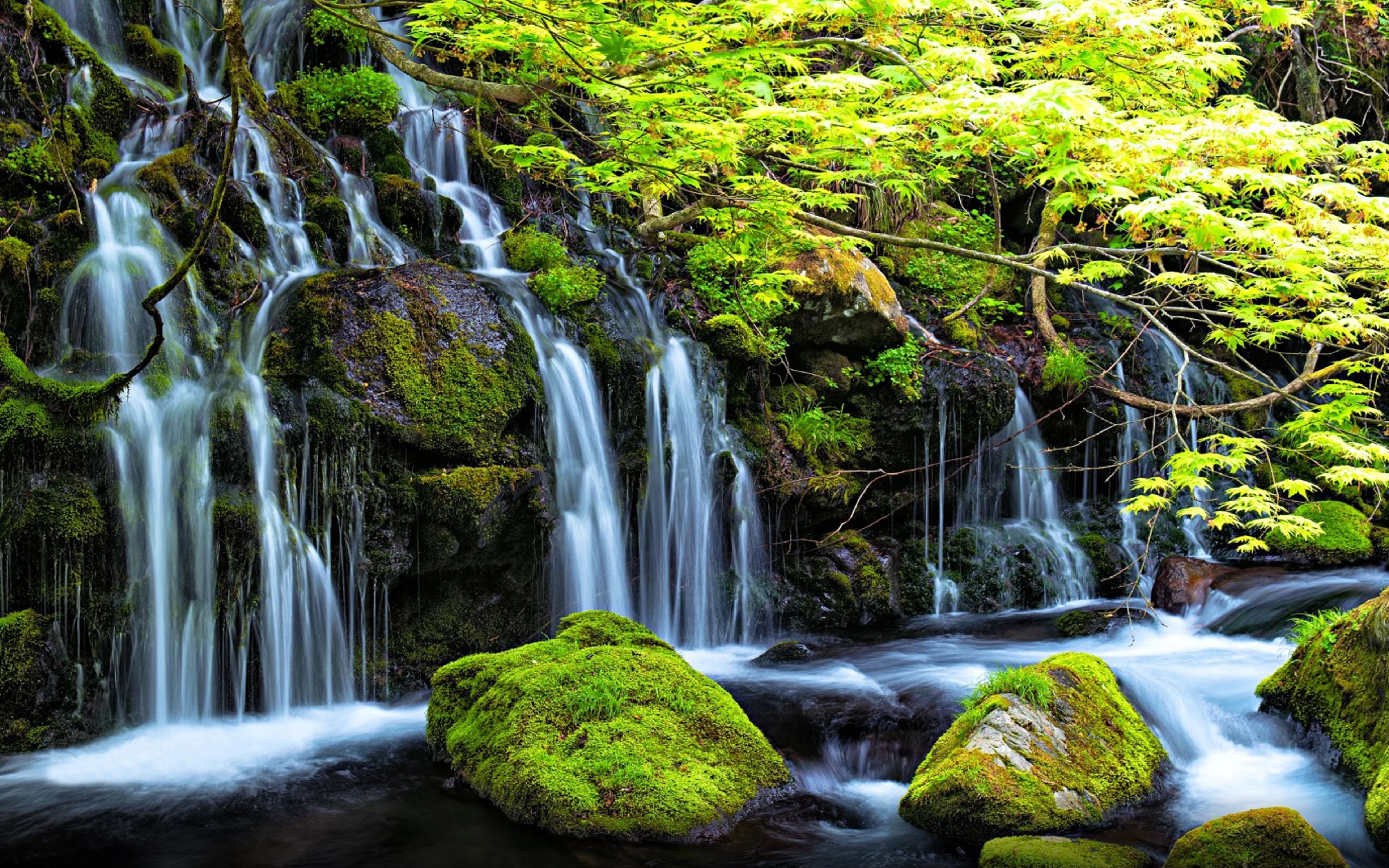 Spring Nature Waterfalls