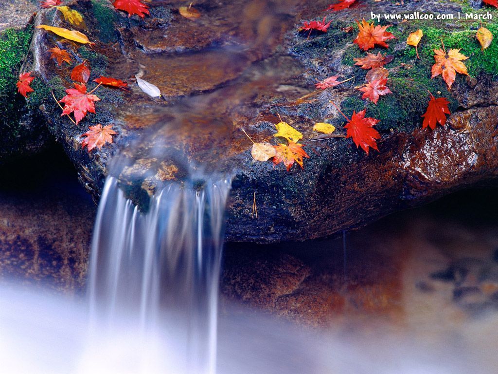 desktop background spring waterfall wallpaper
