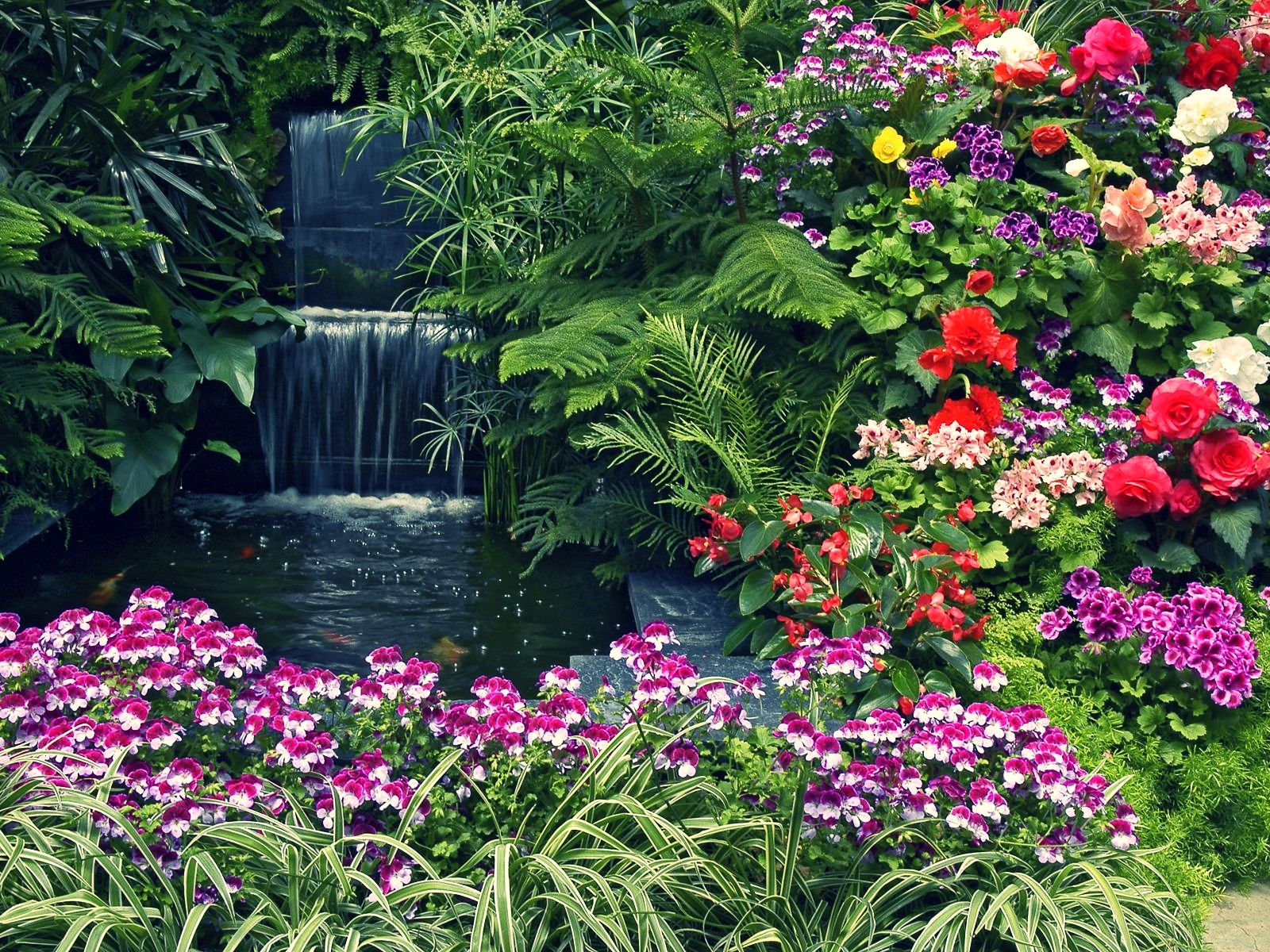 Thougths Ferns Springtime Flowers Garden Roses Waterfalls