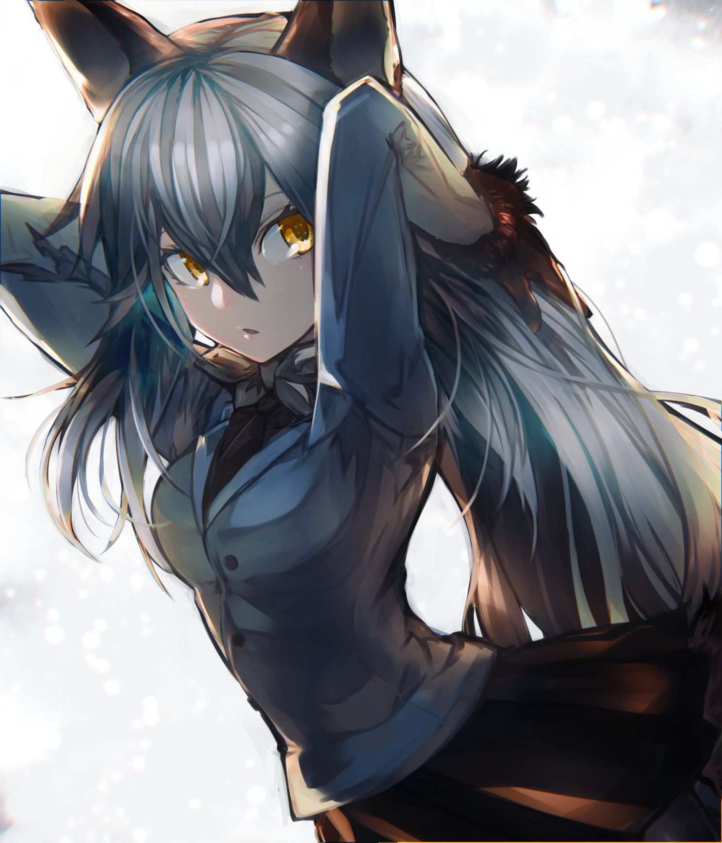 Silver Fox (Kemono Friends) Anime Image Board