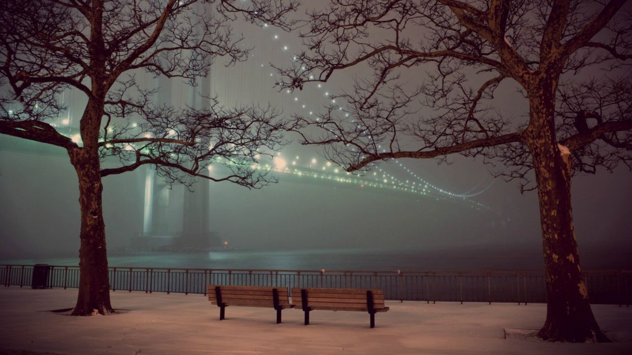 Water trees winter bridges night snow fog widescreen wallpaper