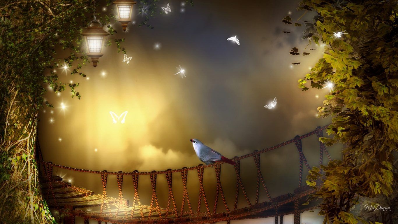 Sky Leaves Fall Bridge Dragonfly Butterfly Autumn Papillon