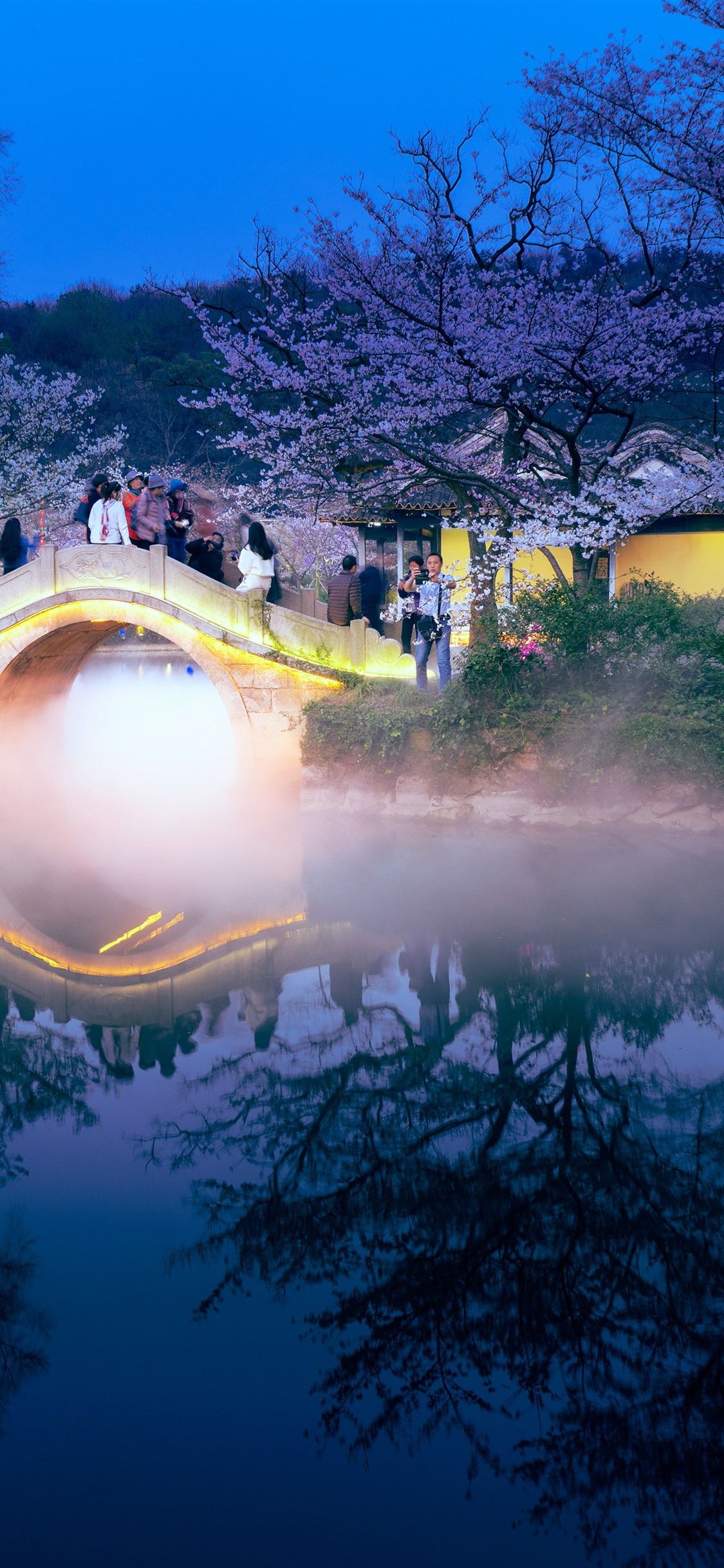 Travel, China, night, bridge, sakura, lake, fog 1242x2688 iPhone