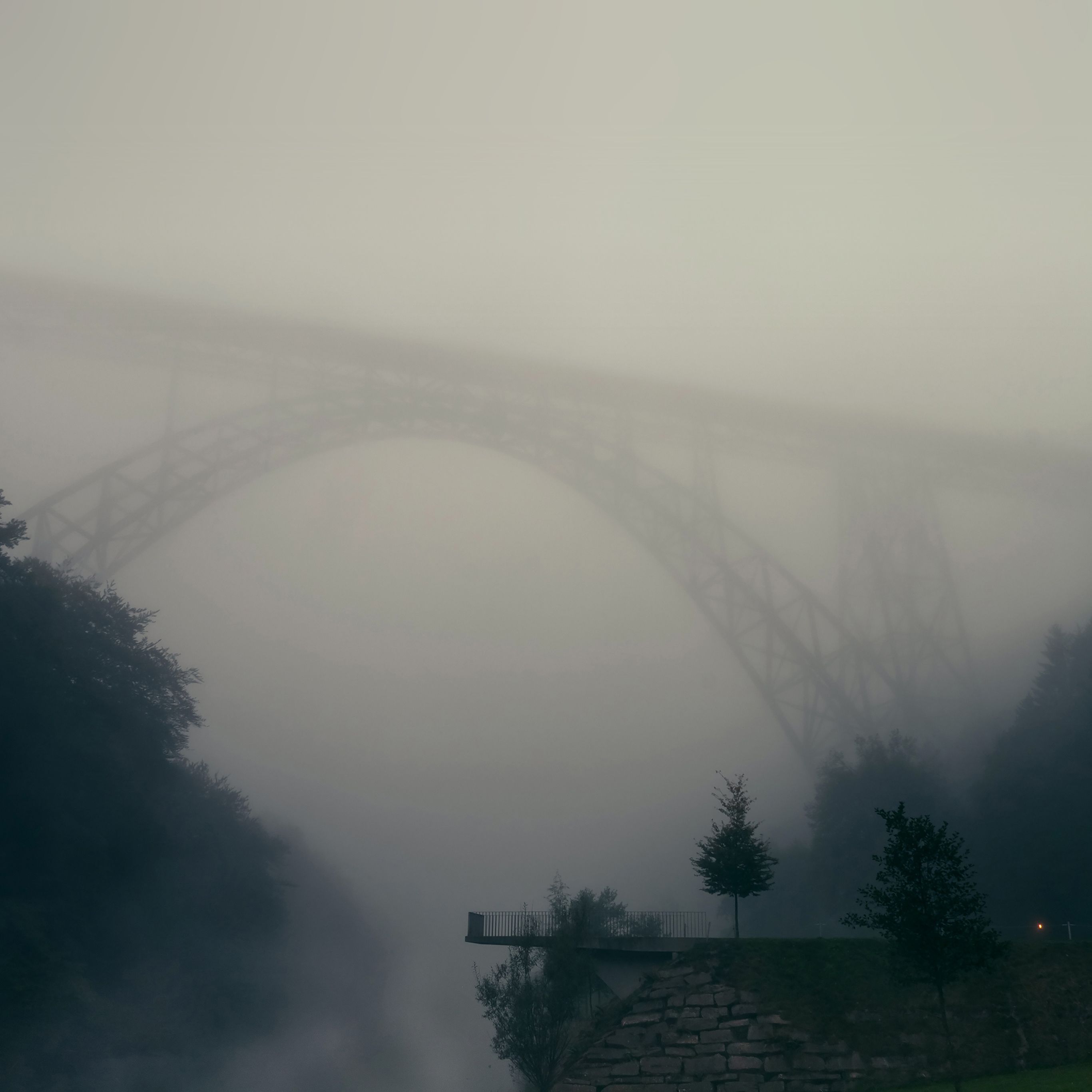 Foggy Bridge Herr Olsenmungsten Tree Nature