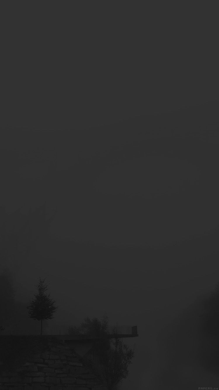 Foggy Bridge Dark Herr Olsenmungsten Tree Nature