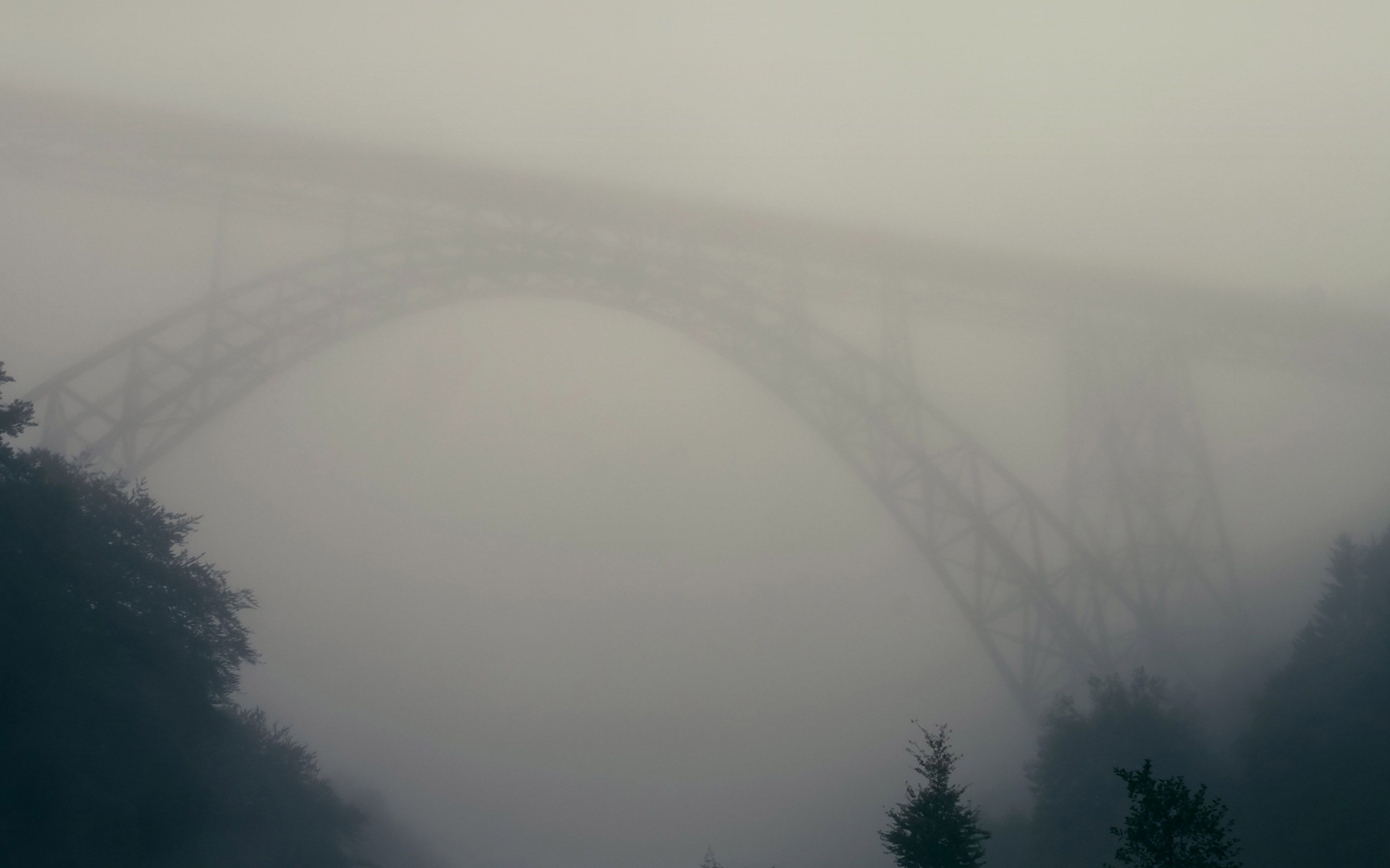 Foggy Bridge Herr Olsenmungsten Tree Nature