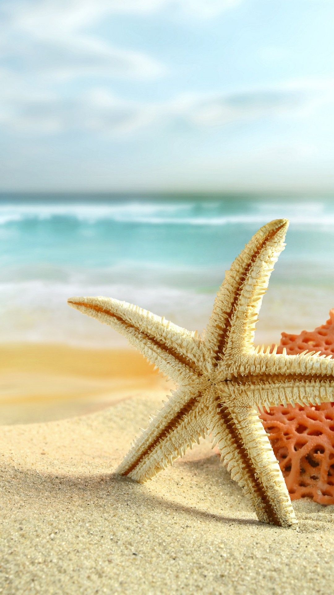 Sea Star Summer Beach Smartphone Wallpaper HD