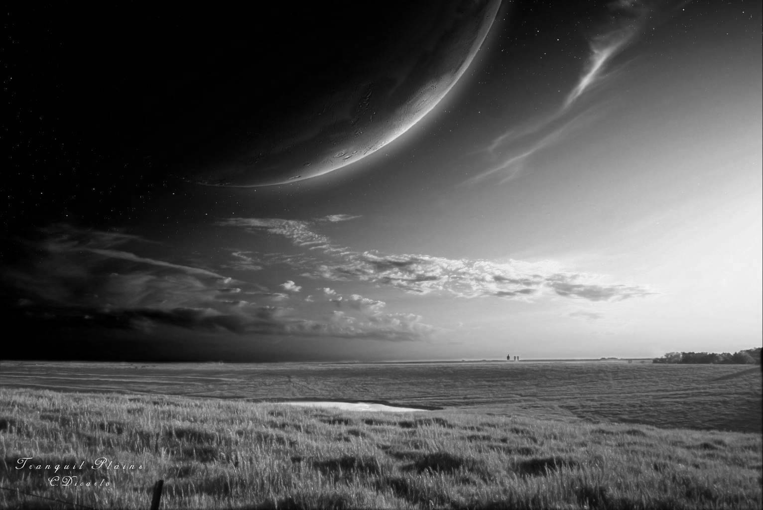 Free download Black and White Wallpaper HD Black and White Scenic