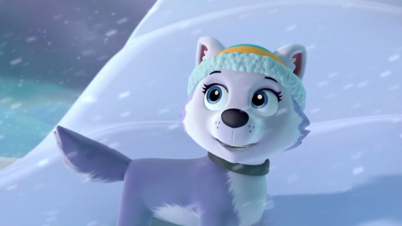 Paw Patrol Everest Wallpapers - Wallpaper Cave