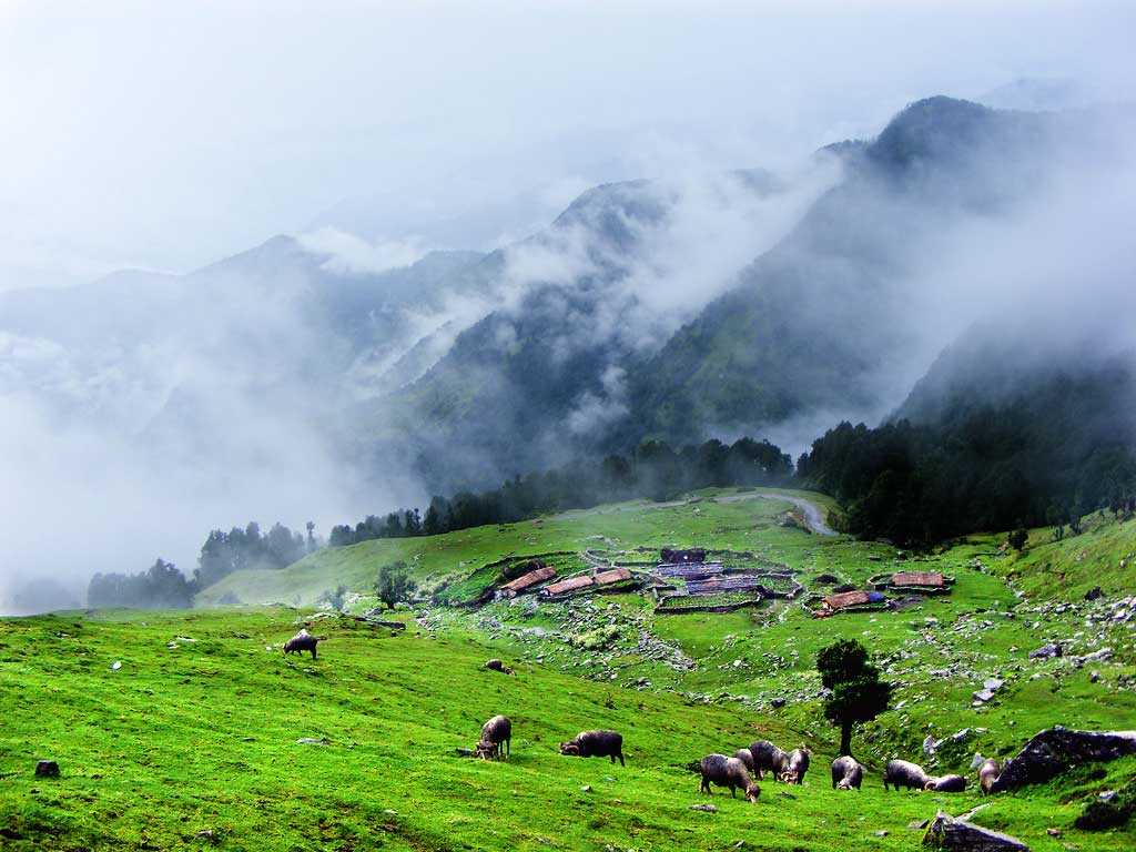CHOPTA VALLEY SIKKIM Photo, Image and Wallpaper, HD