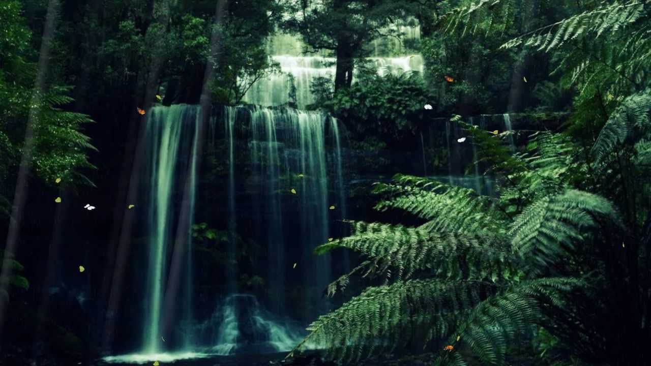 Animated Forest Wallpapers - Wallpaper Cave