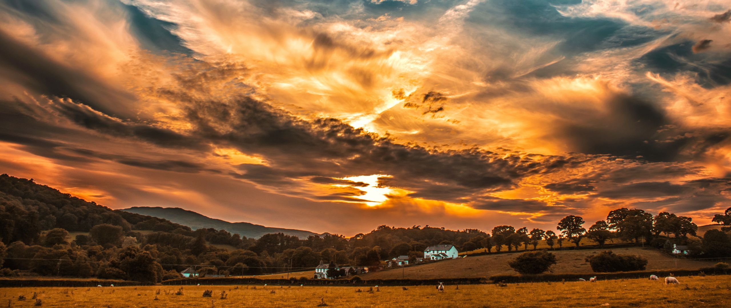 Download wallpaper 2560x1080 sunset, sky, clouds, field, trees