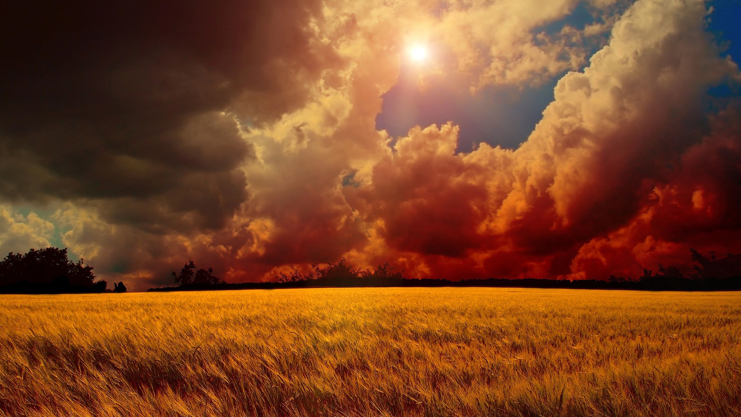 Sunset Sky Cloud Field Wallpaper. Field wallpaper, Clouds, Sunset sky