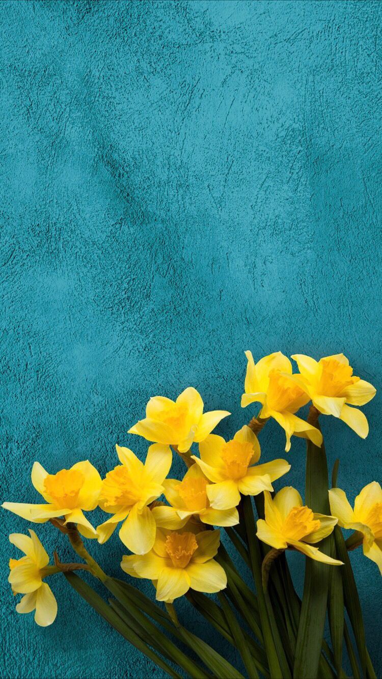 Flower wallpaper for your iPhone XS Max from Everpix #wallpaper