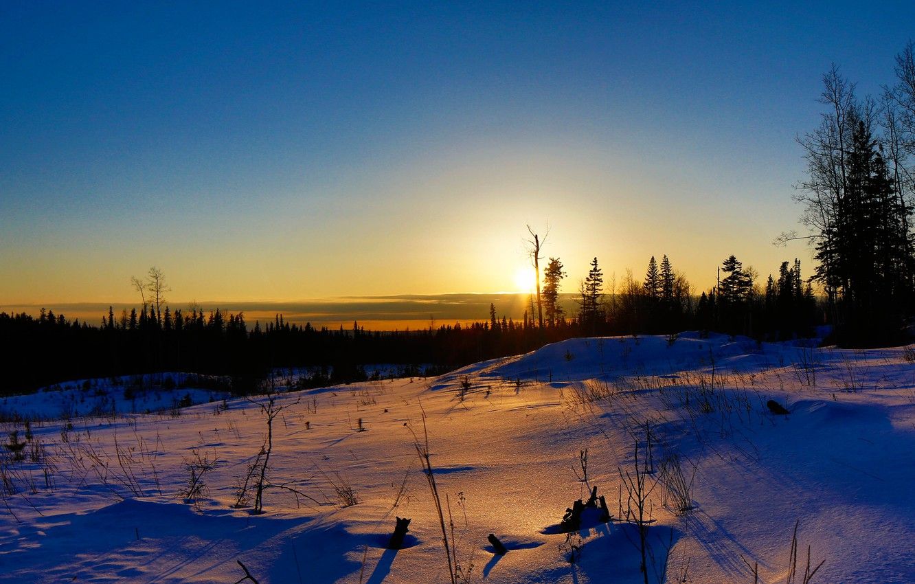 Wallpaper winter, field, the sky, the sun, clouds, rays, trees