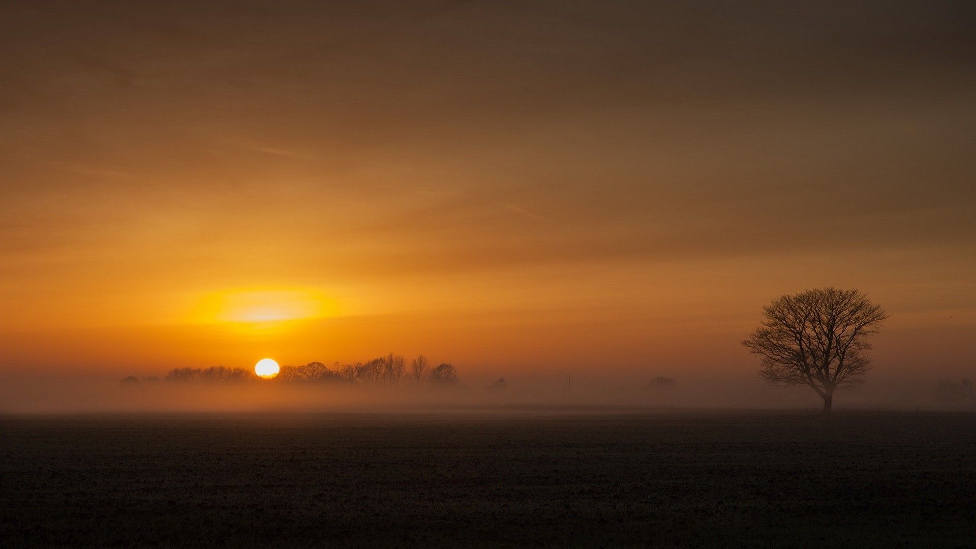 Sunset Sky Clouds Field Trees Horizon Wallpapers - Wallpaper Cave