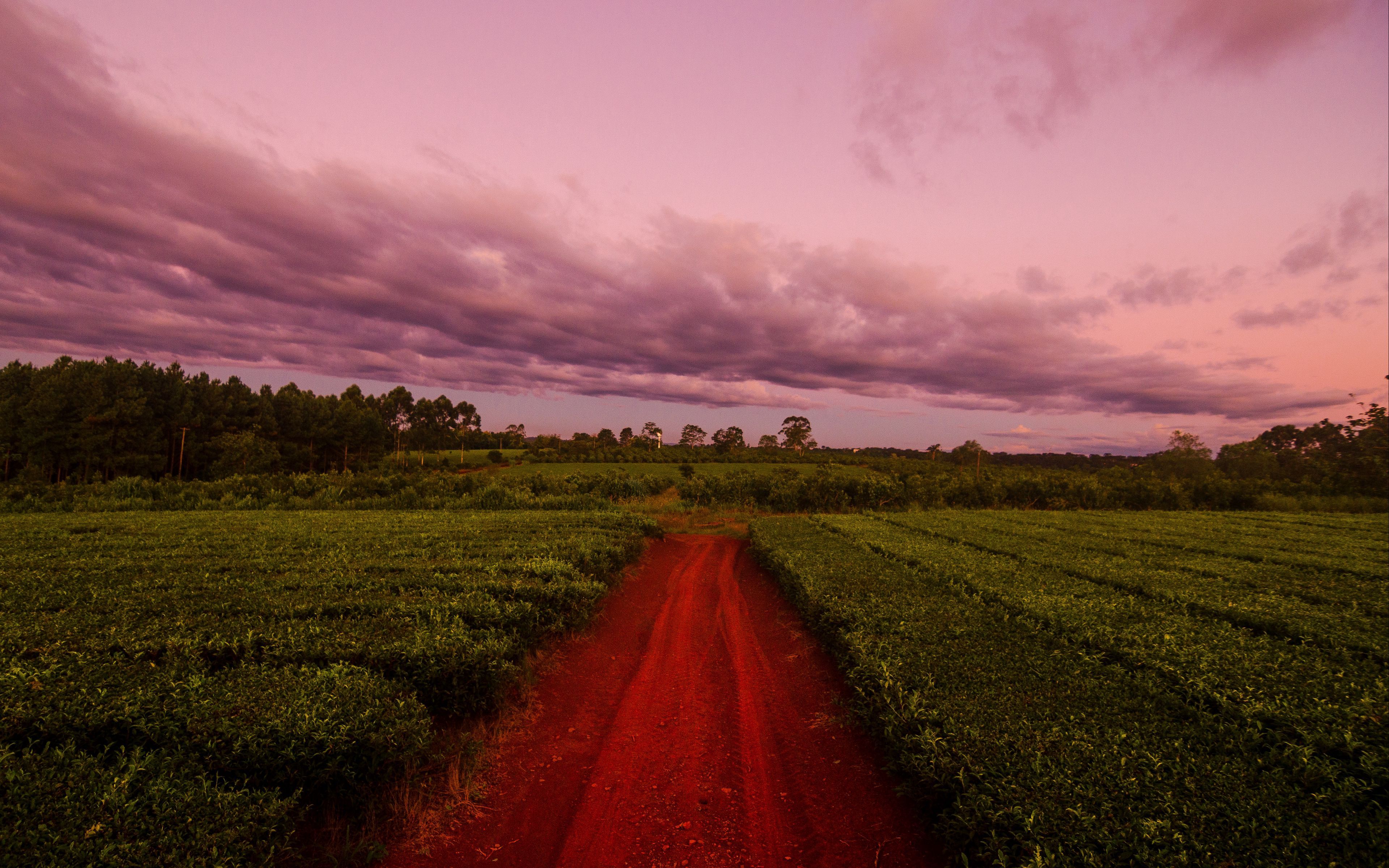 Download wallpaper 3840x2400 path, field, grass, sunset, sky